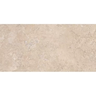 Плитка ALMERA CERAMICA Spain PANTHEON EV EBR CR M 120x60, Фото