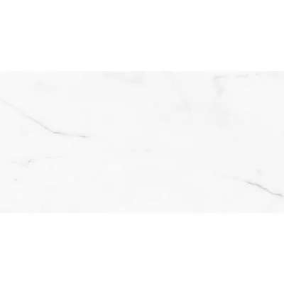 Плитка Azulejos Benadresa Status Pulido Rect 60X120, Фото