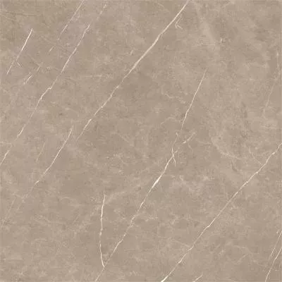 Плитка Baldocer Eternal Taupe 120x120, Фото