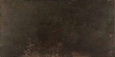 Плитка CERACASA CERAMICA EVOLUTION BRONCE LAPATTO 49.1х 98.2 R, Фото