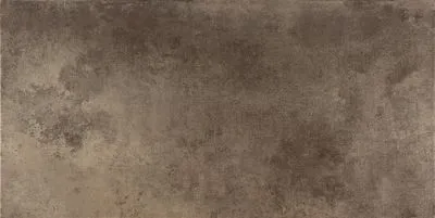 Плитка CERACASA CERAMICA EVOLUTION TITANIO LAPATTO 49.1х98. 2 R, Фото