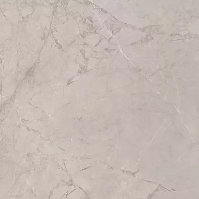 Плитка CERAMICA DESEO ESS. GALES GREY 608x608, Фото