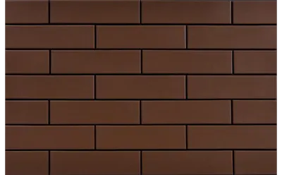 Плитка Cerrad BRAZ GLADKIE 19683 6x25, Фото