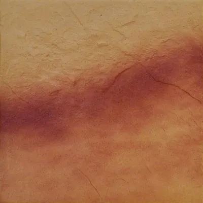 Плитка Cerrad JESIENNY LISC 15470 30x30, Фото