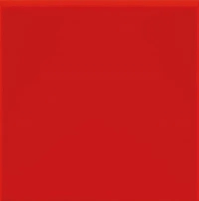 Плитка ECOCERAMIC TECHNIC ROJO 20x20, Фото