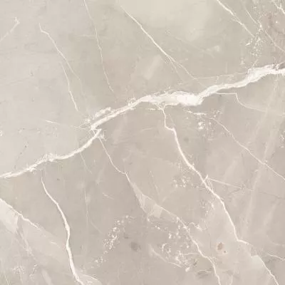 Плитка EnergieKer Thunder Roal Natural 120x120, Фото