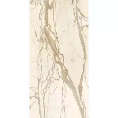 Плитка Fiandre Marble Lab Calacatta Elite 60x120, Фото