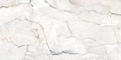 Плитка Geotiles 60x120 Sauvage Pearl Natural Rect., Фото