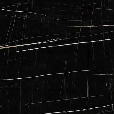 Плитка Geotiles Sahara Noir Super Polished Rect 120x120, Фото