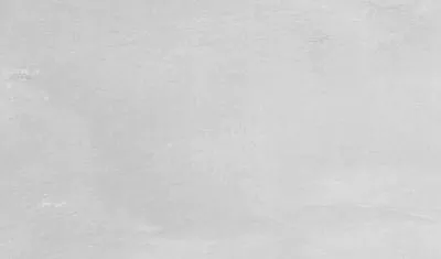 Плитка GEOTILES UT. FRED PERLA 33x55, Фото