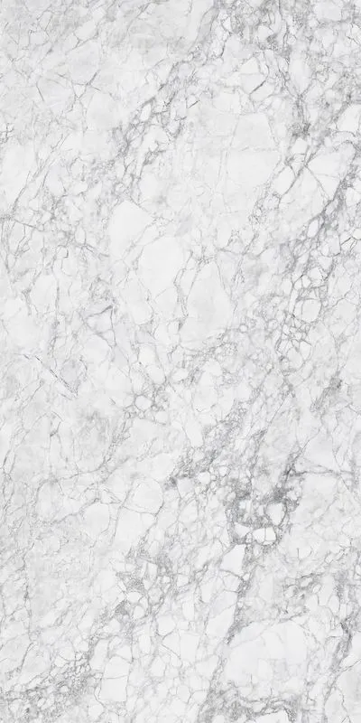 Плитка Inter Gres Arabescato серый полированный 60x120 1206036071/L, Фото