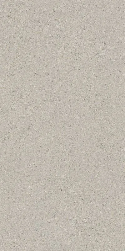 Плитка Inter Gres Gray светло-серый 60х120 1206001071, Фото