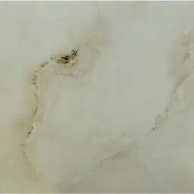 Плитка керамограніт для підлоги CASA CERAMICA SILK ONYX, Фото