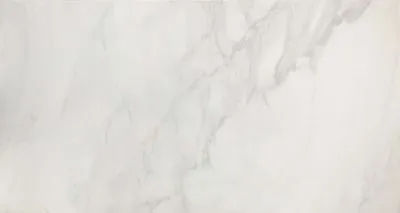 Плитка керамограніт для підлоги CASA CERAMICA SPIDER CARRARA 60x120, Фото