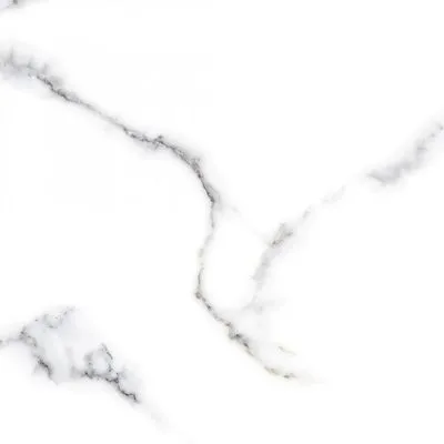 Плитка керамограніт для підлоги CASA CERAMICA STYLE SATUARIO 80x80, Фото