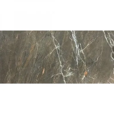 Плитка керамограніт для підлоги CASA CERAMICA TROPICAL BROWN, Фото