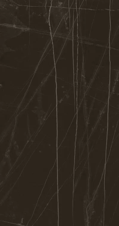 Плитка LA FAENZA Trex3 12N RM 60x120, Фото