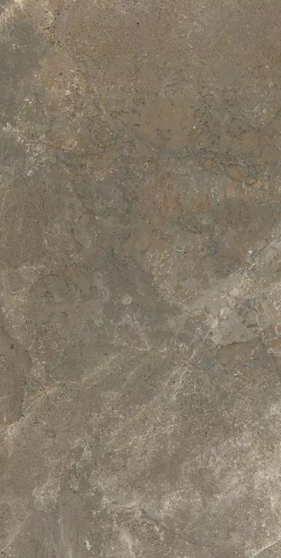 Плитка LA FAENZA Trex3 12TO RM 60x120, Фото