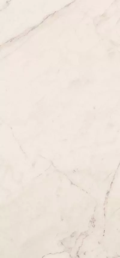 Плитка LA FAENZA Trex3 12W RM 60x120, Фото