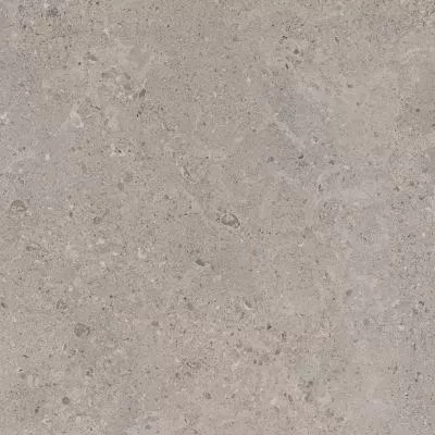 Плитка Marazzi MYSTONE GRIS FLEURY TAUPE RT 60x60, Фото