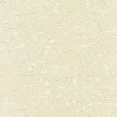 Плитка MEGAGRES 1039 SOLUBLE SALTS 600x600, Фото