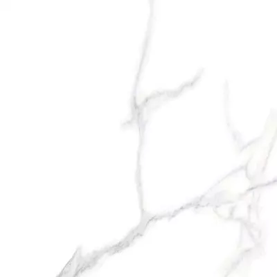 Плитка MEGAGRES GPF6012 CARRARA 600x600, Фото