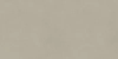 Плитка Opoczno OPTIMUM Light Grey 59,8X119,8 G1, Фото