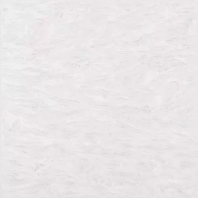 Плитка Pamesa Ceramica ESSENZA Lava BIANCO 60x60, Фото