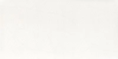 Плитка Paradyz Adilio Bianco Fun 29,5x59,5, Фото