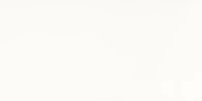 Плитка Paradyz tonnes Bianco 30х60, Фото