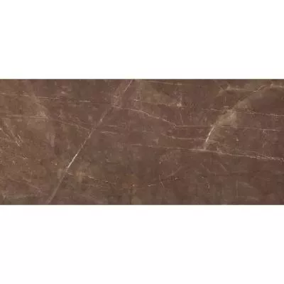 Плитка Raviraj Armani coffee POL 60x120, Фото