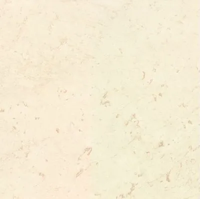 Плитка Prissmacer GWENDAL TITANIO 60.8х60.8, Фото