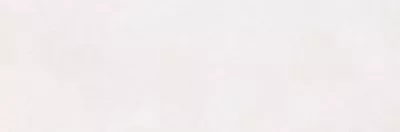 Плитка RAKO Betonico WAKV6790 40x120, Фото