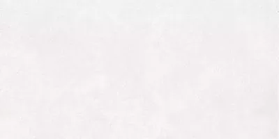 Плитка RAKO BETONICO white-grey DAKV1790 60x120, Фото