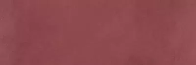 Плитка RAKO BLEND bordo WADVE810 20x60, Фото