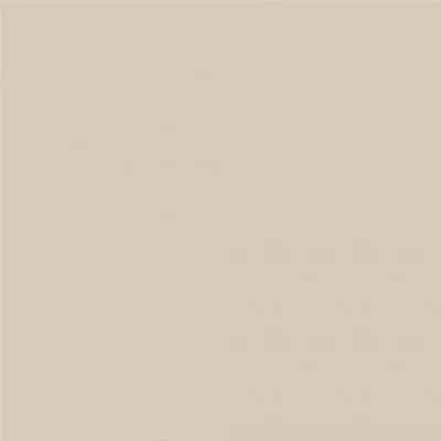 Плитка RAKO COLOR 10S ivory TAA61010 60x60, Фото