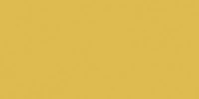 Плитка RAKO COLOR ONE d.yellow gls. WAAMB201 20x40, Фото