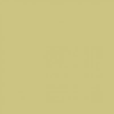 Плитка RAKO COLOR ONE WAA1N221 20x20, Фото