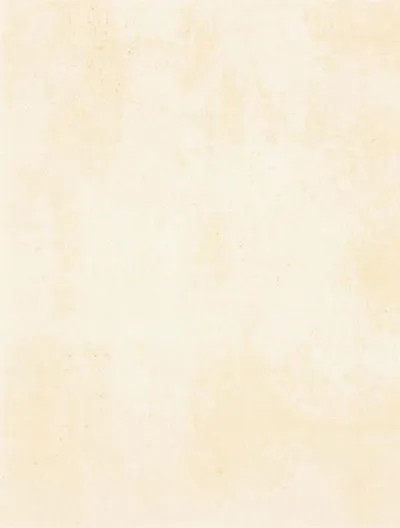 Плитка Rako Patina WATKB230 бежевый, Фото