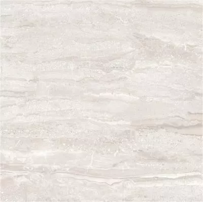 Плитка Raviraj INOX DYNA 60x60 polished, Фото