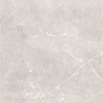 Плитка Raviraj Sanaa GREY 60x60 polished, Фото