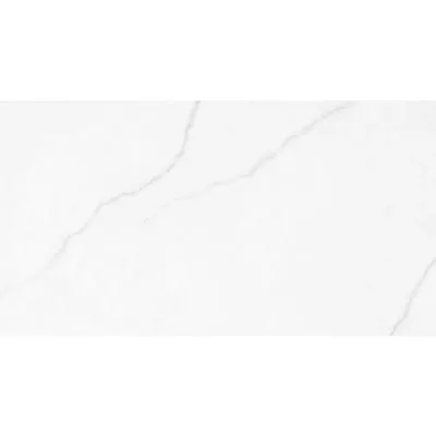 Плитка Rocersa Polar Silver Mat 60x120 RC, Фото