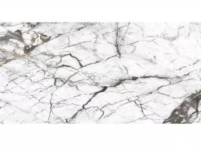 Плитка ROYAL MARBLE Pole Full FL 60x120, Фото