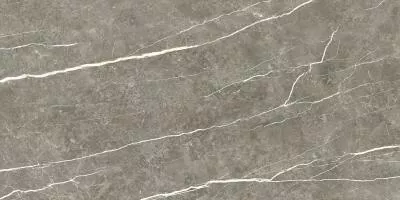 Плитка Tau Ceramica Elite Graphite Pul 60x120, Фото