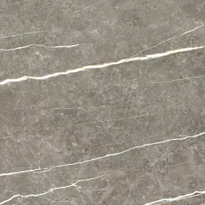 Плитка Tau Ceramica Elite Graphite Pul 60x60, Фото