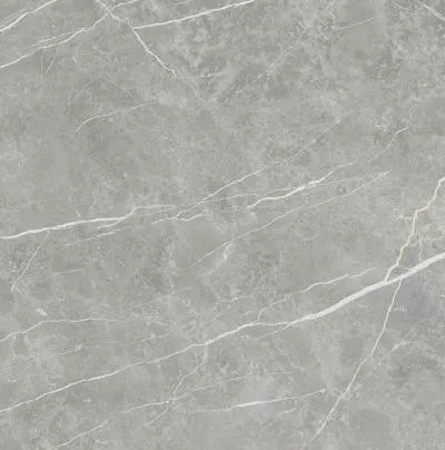 Плитка Tau Ceramica Elite Gray Matt 90x90, Фото