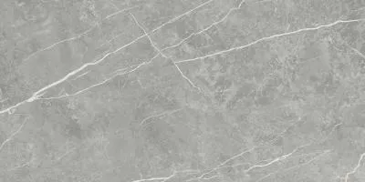 Плитка Tau Ceramica Elite Gray Matt Rec 60x120, Фото