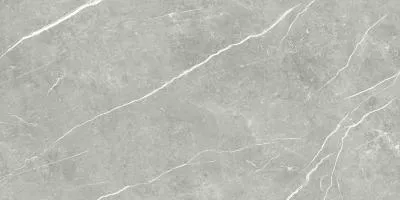 Плитка Tau Ceramica Elite Gray Pul 60x120, Фото