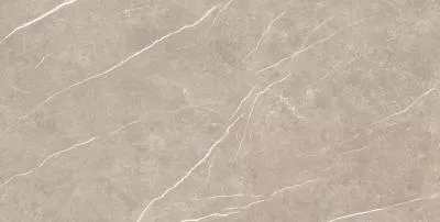 Плитка Tau Ceramica Elite Greige Matt 90x180, Фото