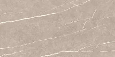 Плитка Tau Ceramica Elite Greige Matt Rec 60x120, Фото